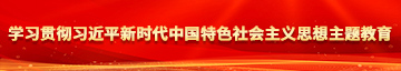 黄片靠逼视频学习贯彻习近平新时代中国特色社会主义思想主题教育